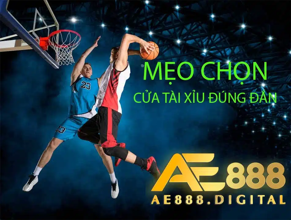một số mẹo chọn cửa tài xỉu đúng đắn tại ae888