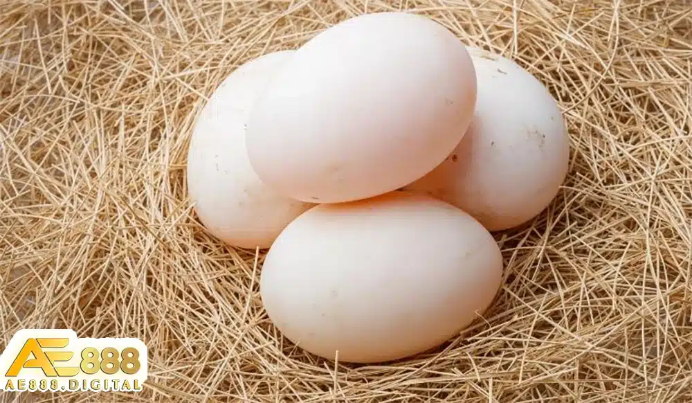 Tùy thuộc vào chi tiết cụ thể trong giấc mơ, việc mơ thấy trứng vịt có thể mang lại cả điềm xấu lẫn điềm lành. Bạn cần phân tích kỹ để đưa ra hướng giải quyết phù hợp.