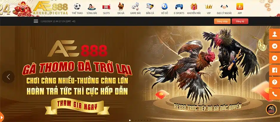 tổng quan Giới thiệu về sân chơi đá gà trực tuyến AE888