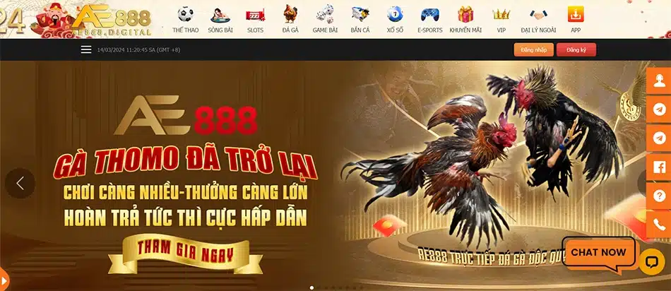 một số Trách nhiệm AE888 đưa ra lời khuyên cho anh em