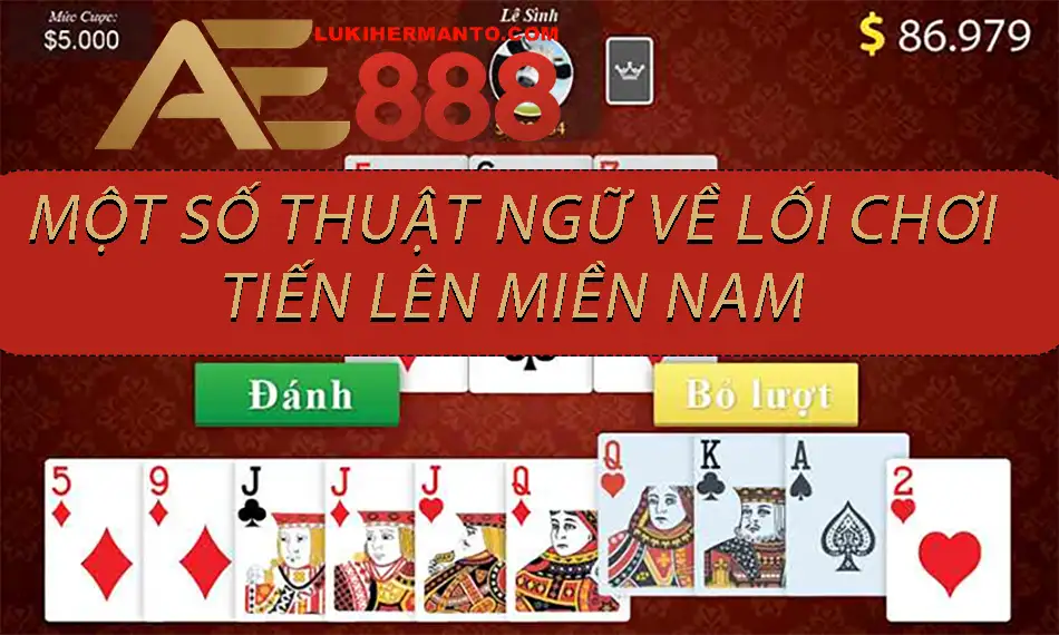 Các thuật ngữ sử dụng trong lối chơi Tiến Lên Miền Nam